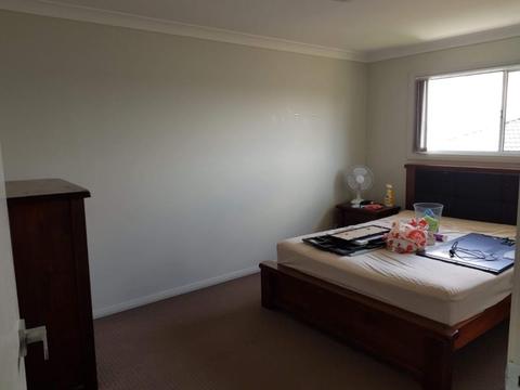 Room for Rent | Close to Uni & Mater | Lots of Space | Friendly