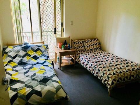 Master Room Available for Females in Chippendale