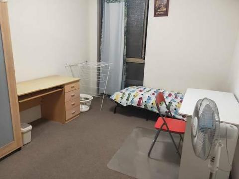 Sydney CITY CBD Large Own Private Room (One Female)