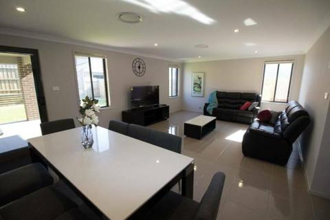 Friendly tenants wanted in modern Furnished home in the Ponds