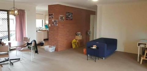 Homey room in spacious 3 bedroom unit in the heart of Ashgrove