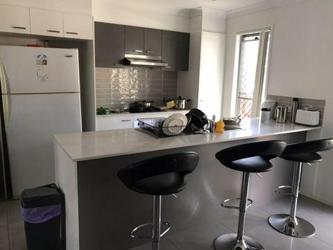 Room for rent in Redbank Plains