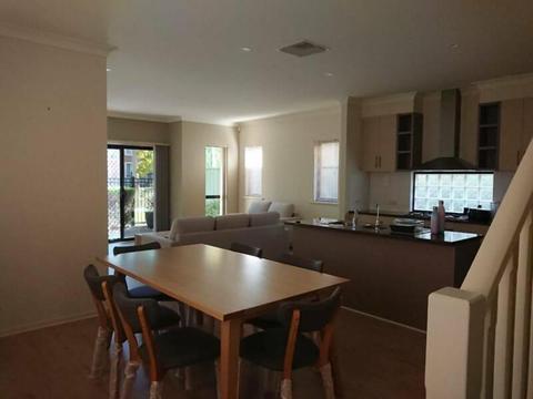 Mawson Lakes: 2 rooms for rent (females only)