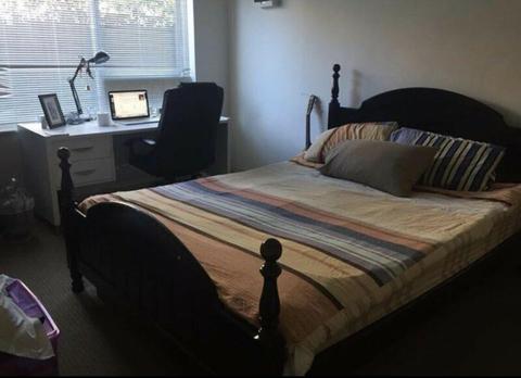 Caulfield Room for Rent 3-6months