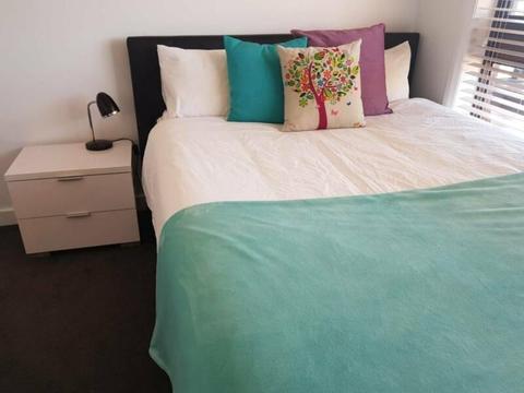 Professional Room for Rent in Gladstone Park Available Now!