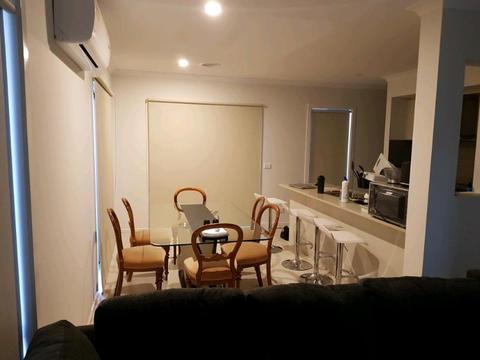 One bedroom available in Life Estate, Point Cook
