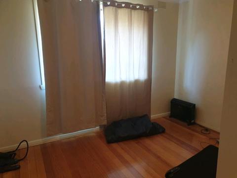 Room to rent in spacious house mount waverley