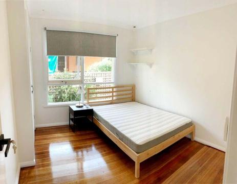 Bayswater room for rent