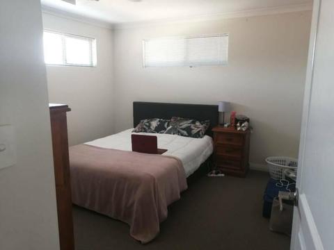 Large room to rent in Rivervale houseshare