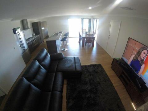 Housemate wanted $200pw plus bills. Internet included