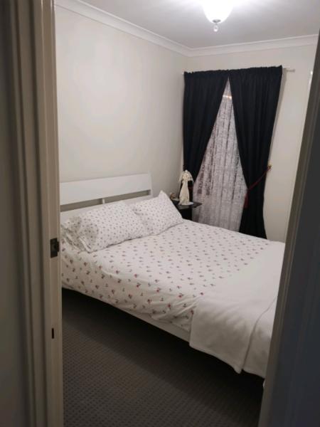 Room with King single bed for rent