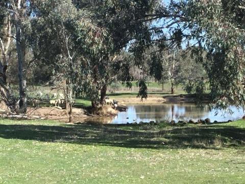 Land for Sale: North East Victoria