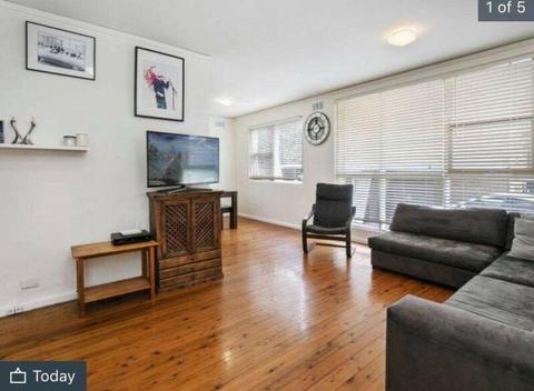 Cosy apartment in Balgowlah to rent!