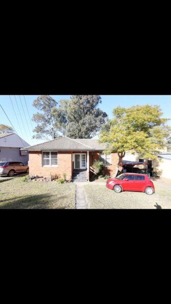 For Rent / Lease 3 bedroom house at SevenHills $420 a week