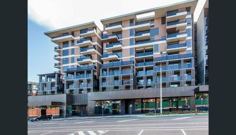 Caulfield Heath Brand New 2 Bedrooms Apartment For Lease