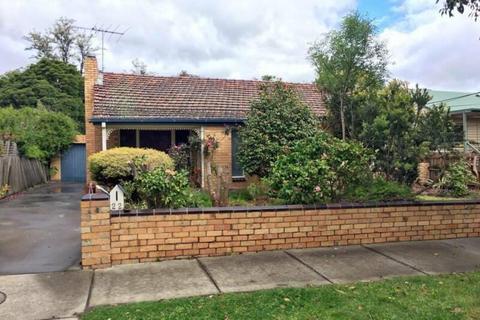 3BR house For Lease-22 Eley Road, Burwood