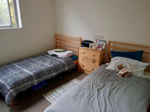 BED AVAILABLE IN A SHARE ROOM IN RANDWICK