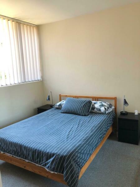 Beautiful room in Mosman available from 18 October until 13 December
