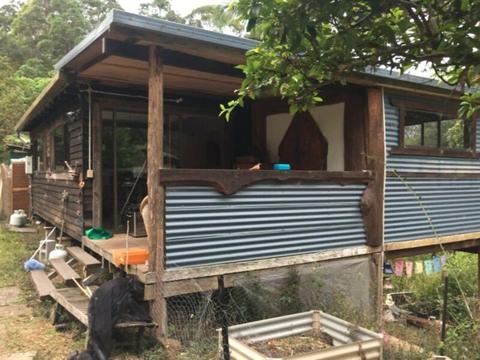 Charming rainforest cabin available for mullum music festival