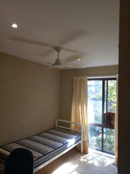 sunny fully furnished room for rent in Hawker $165 per week