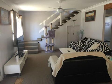 Room for Rent in Tweed Heads South