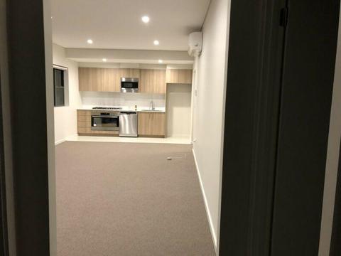 Room for rent in Westmead