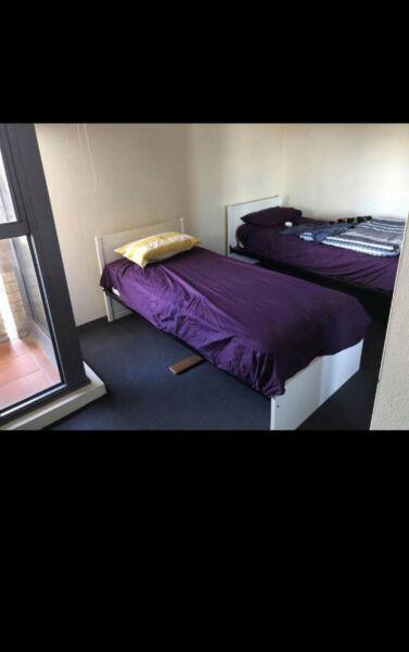 Sydney CBD Twin Room looking for 1 or 2 sharemates