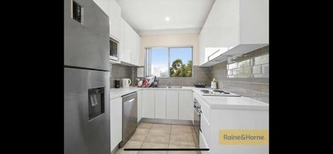 Share Room in Arncliffe - Lovely apartment - bright and clean
