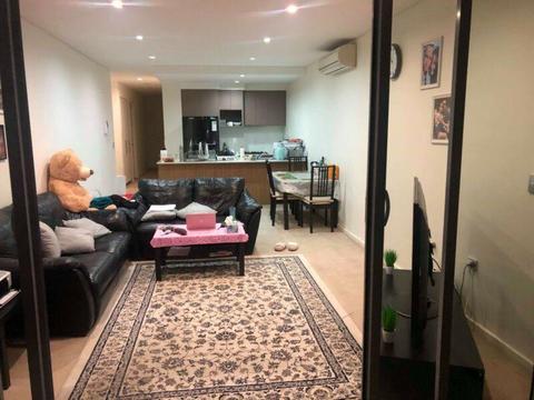 Room for rent in Strathfield