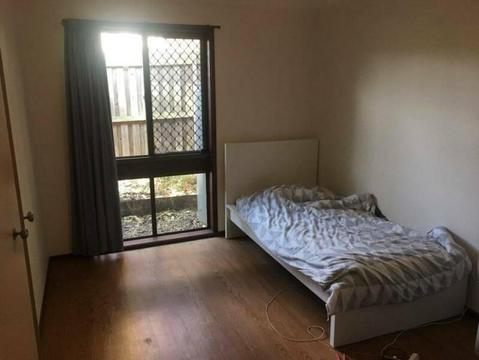 Looking for female housemate in Robertson(sunnybank)