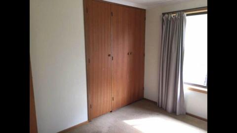 Room for a female in Sandy bay