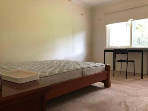 Walking distance to Deakin, single comfortable room available!