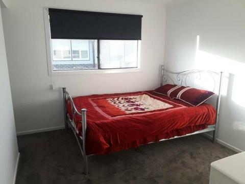 Room available for rent in Werribee including all bills $115 per week