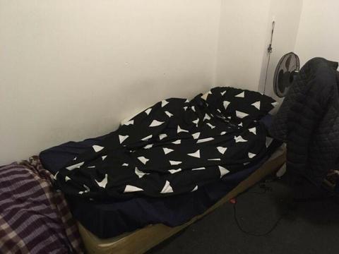 Sharehouse in CBD, Master room $150 Male (Short-term)