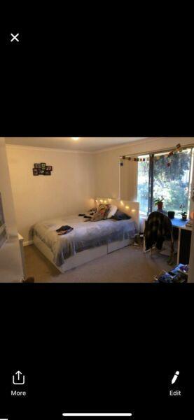 Room for rent $130p/w south lake