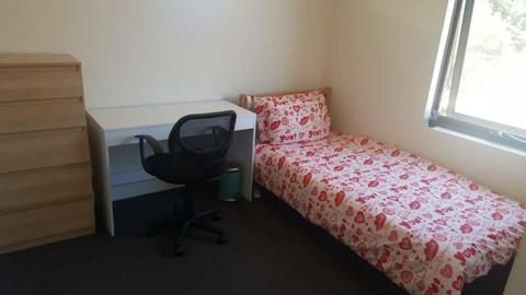 Rent sharehouse, room in Belmont Area