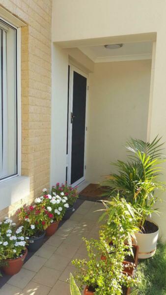 Tidy and Quiet House in Cannington