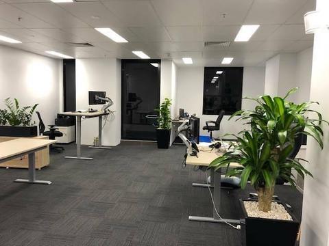 Desk Space for Rent in Dee Why - Brand New Custom Fitted Offices