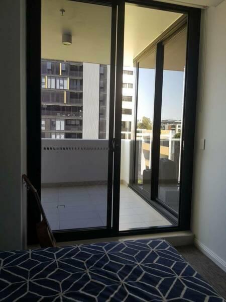 Brand New Apartment to short term rent in Mascot