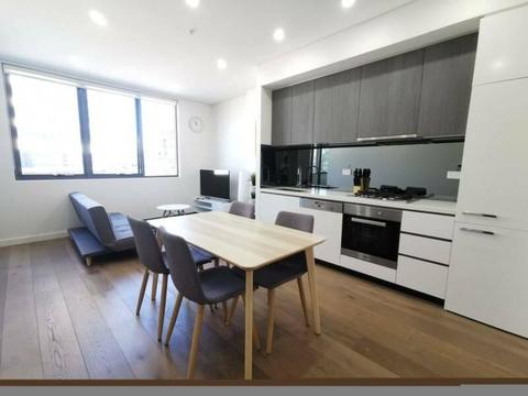 Zetland/Waterloo furnished 1 bedroom study Apt for rent $650/week