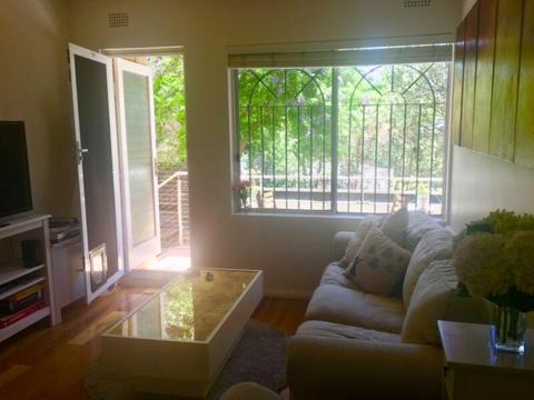 1 Bedroom Apartment Marrickville