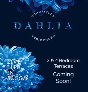 Dahlia Terraces Schofield Project Prelaunch