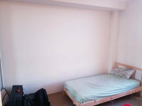 [Two Vacancies] Sharing bedroom in front of Kogarah station