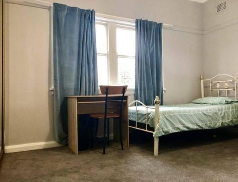 SUNNY FURNISHED ROOM TO SHARE MANLY NORTH - NO BILLS
