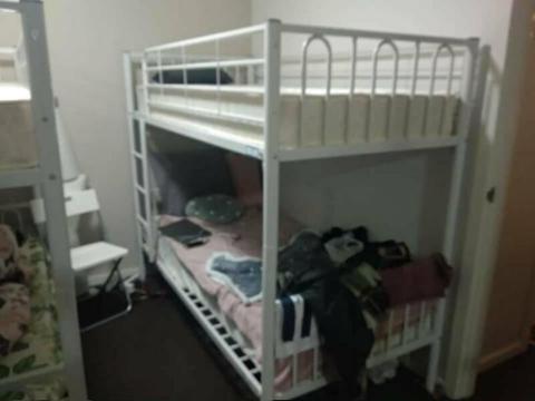 Roomshare In Ultimo