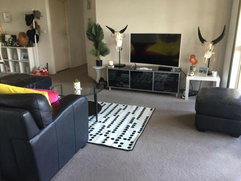 Perfect apartment for summer in Bondi Junction