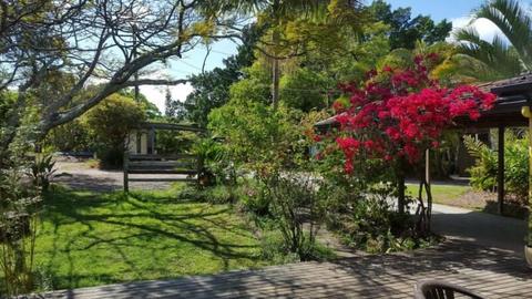 House to rent in Mullumbimby