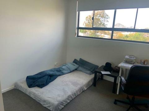 Indooroopilly apartment