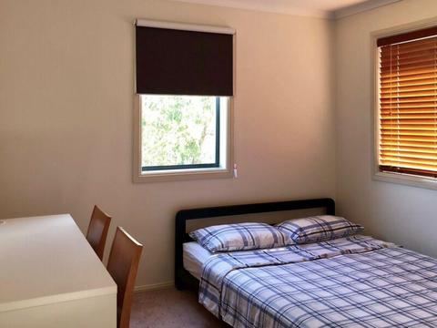 Double room in Bruce available
