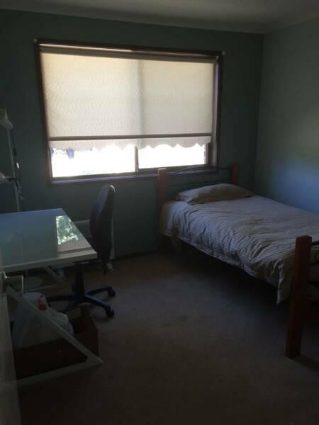 ROOM FOR RENT IN RICHARDSON